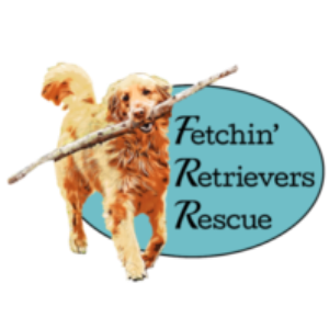 Fetchin’ Retrievers Rescue Logo