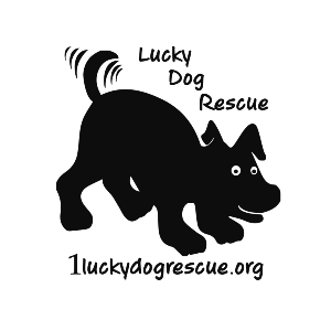 Lucky Dog Rescue, Pleasanton, CA Logo