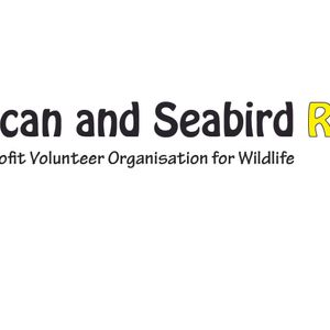 Pelican and Seabird Rescue Inc Logo