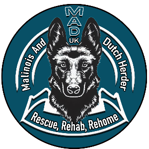 Malinois and Dutch Herder Rescue Rehab Rehome