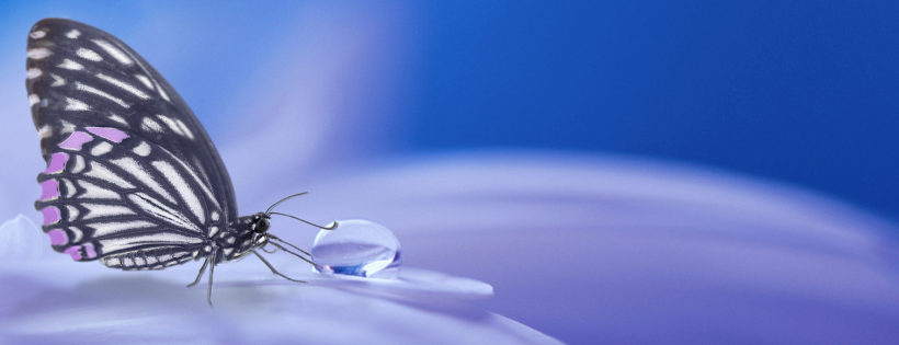 Concierge for Hope