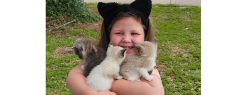 Cats of Chase