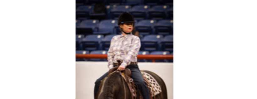 Stars and Strides Stables Therapeutic Riding Center