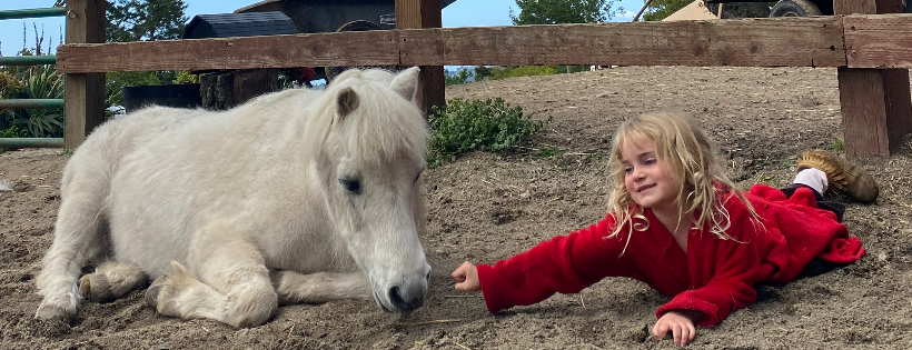 Horse and Heart