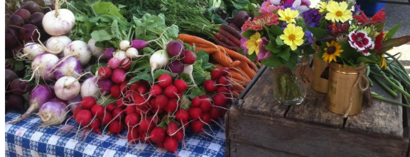 Farm Alliance of Baltimore