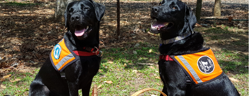 Association of Australian Assistance Dogs NQ