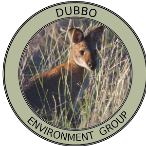 Dubbo Indian Myna Control Program