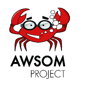 Australian Water Safety On the Mekong (AWSOM) PROJECT Logo