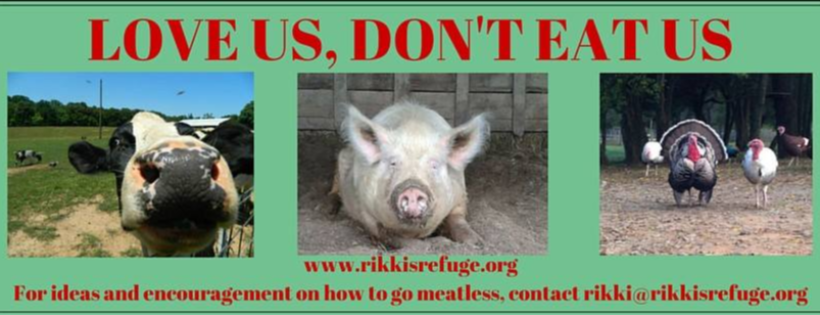 Rikki's Refuge