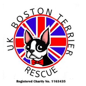 Uk Boston Terrier Rescue Logo