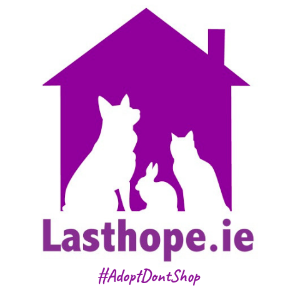 Last Hope Animal Charity. Logo