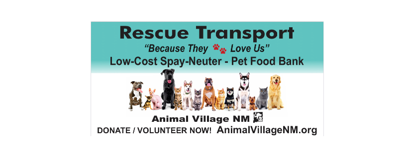 Animal Village NM