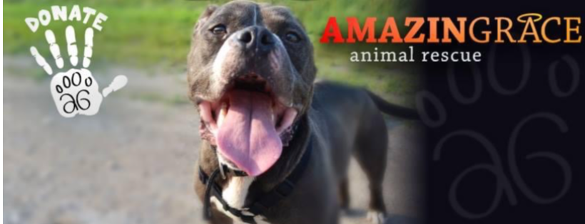Amazing Grace Animal Rescue