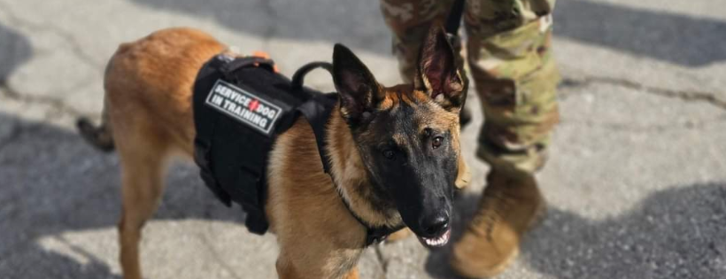 Caddo K9 Academy