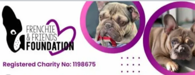 Frenchie and friends foundation