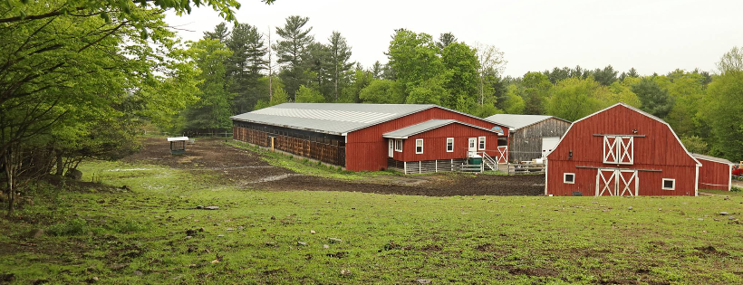 Blessings Farm