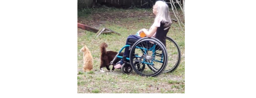 Fix & Feed Feline Feral, Inc.