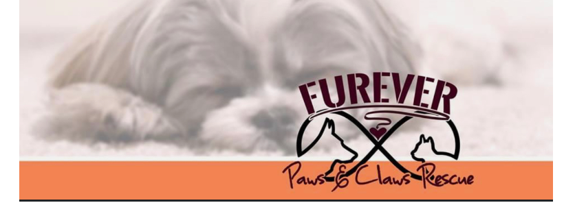 Furever Paws and Claws Rescue