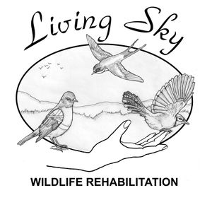 Living Sky Wildlife Rehabilitation Logo