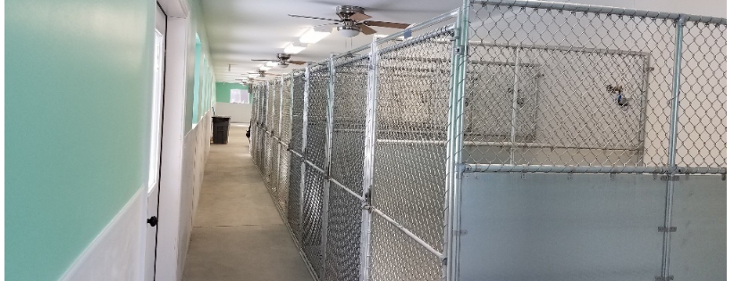 Friends of Michigan Animals Rescue