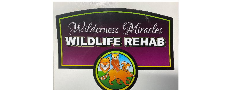 Wilderness Miracles Wildlife Rehab, Inc