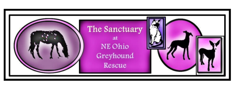 NE Ohio Greyhound Rescue