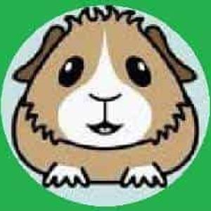 Miss Piggy's Guinea Pig Lair Inc. Logo