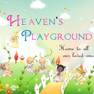 Heaven's Playground Org