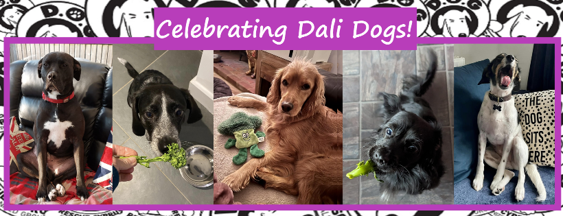 Dali Dog Rescue UK