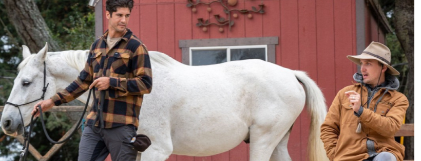 Horse and Heart