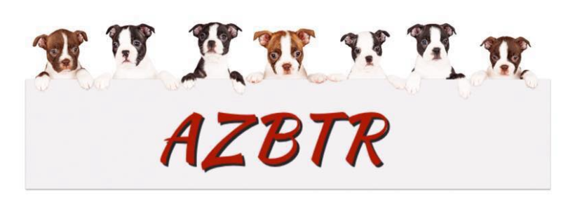 Arizona Boston Terrier Rescue