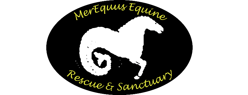 MerEquus Equine Rescue & Sanctuary