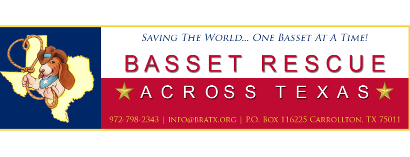 Basset Rescue Across Texas