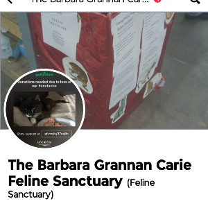 The Barbara Grannan Carie Feline Sanctuary