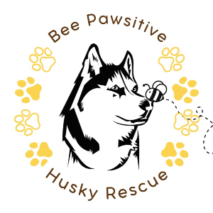 Bee Pawsitive husky rescue Logo