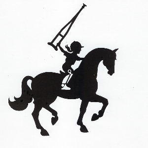 The Shane Center For Therapeutic Horsemanship Inc Logo