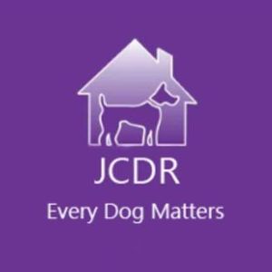 Jodie's Cyprus Dogs Rehoming