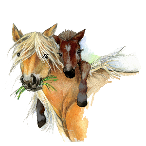 Happy Hooves Sanctuary