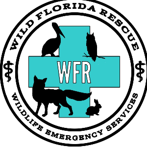 Wild Florida Rescue
