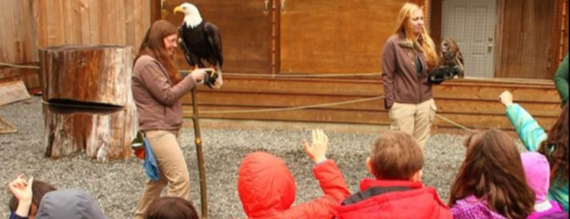 Alaska Raptor Center