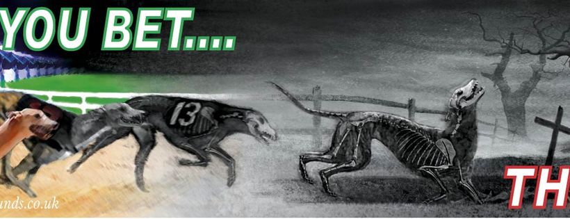 Action for Greyhounds