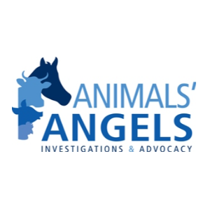 Animals' Angels Logo
