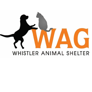 Whistler Animals Galore - WAG
