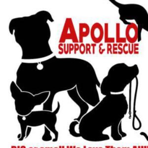 Apollo Support & Rescue for Abandoned Dogs Logo