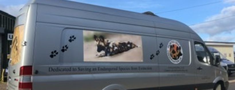 Painted Dog Conservation UK