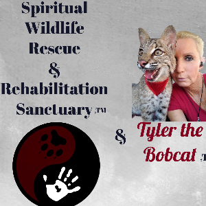 Spiritual Wildlife Rescue & Rehabilitation Sanctuary Logo