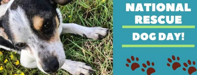 New Leash On Life Dog Rescue