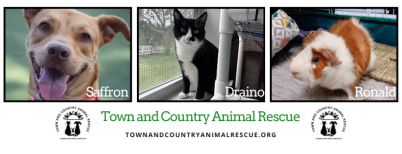 Town and Country Animal Rescue