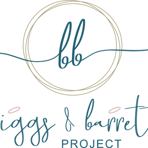 Briggs and Barrett Project Logo