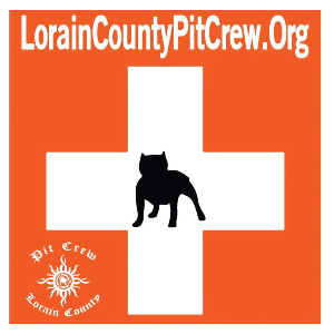 Lorain County Pit Crew Logo